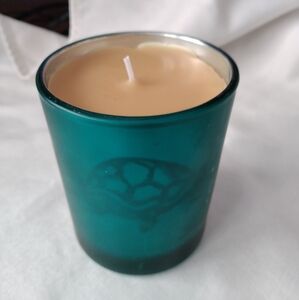 Turtle Candle